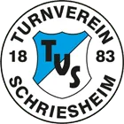 Logo TV Schriesheim